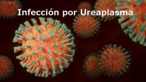 Infección por Ureaplasma (Ets)