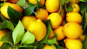 7 Formas de Usar el Limón para Mejorar tu Salud